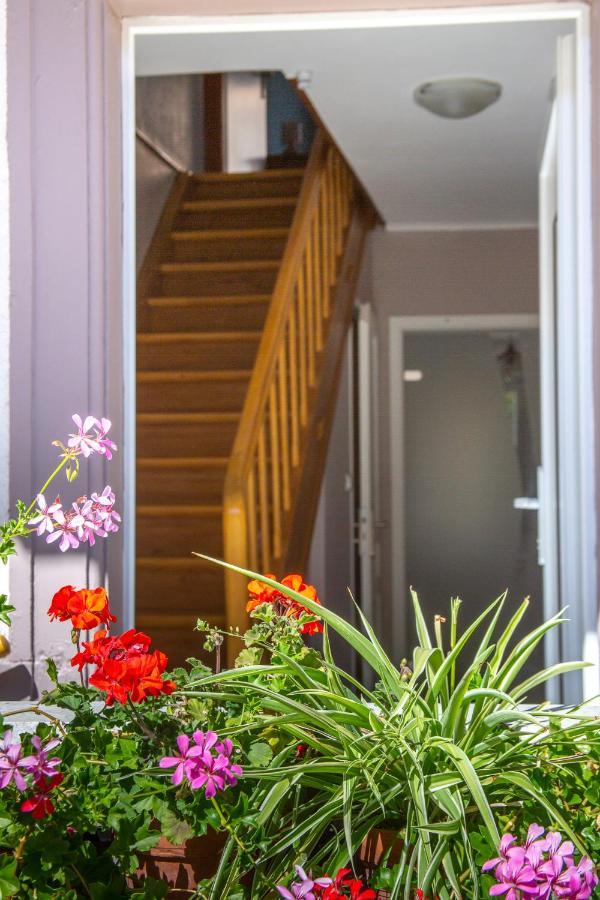 Ferienhaus Ma Rose Des Lumieres Maison Independante 6 Personnes Avec Grande Cour *